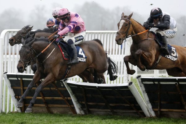Long Walk Hurdle: Crambo all heart to defend Ascot Grade